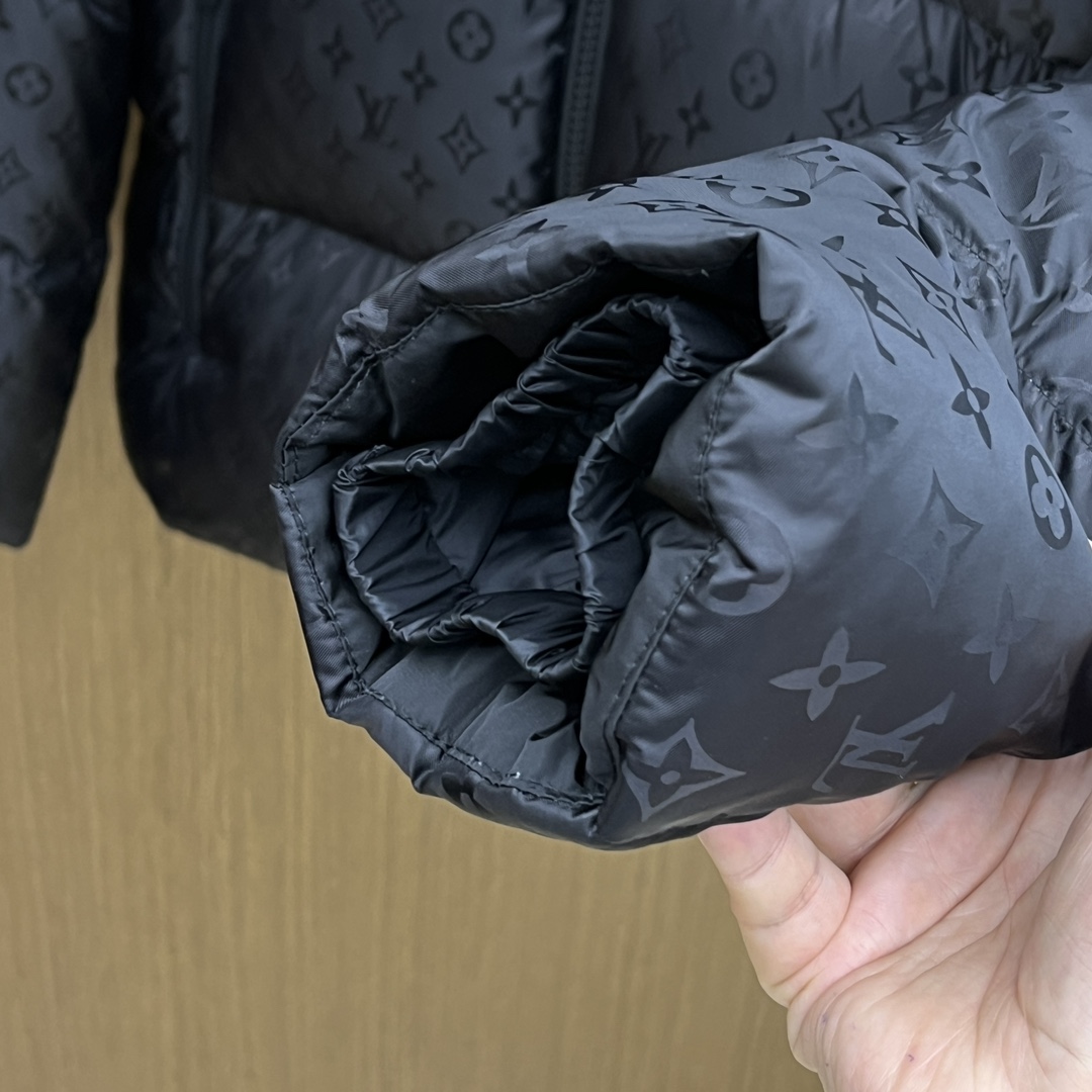 Louis Vuitton Down Jackets